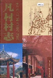凡村村志