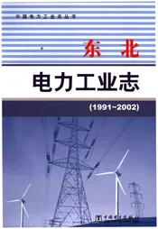 东北电力工业志 1991-2002