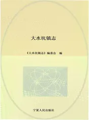 大水坑镇志