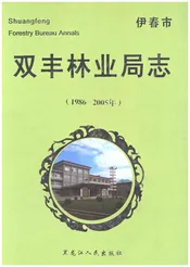 双丰林业局志1986-2005