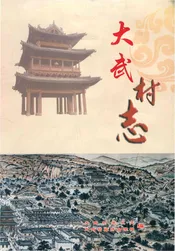 大武村志