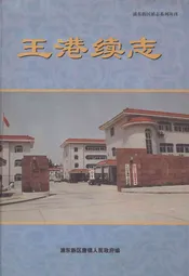 王港续志(1986-2000)