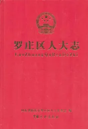 罗庄区人大志