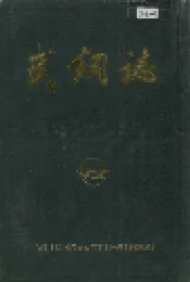 武钢志 第一卷 下册