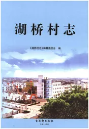 湖桥村志