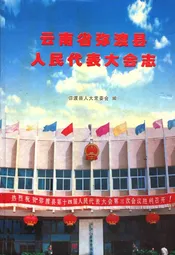 云南省弥渡县人民代表大会志