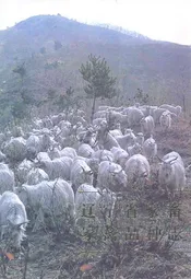 辽宁省家畜家禽品种志
