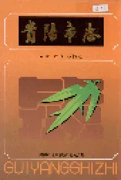 贵阳市志 人大政府政协志