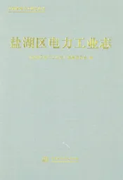 盐湖区电力工业志