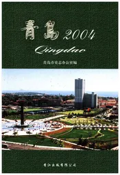 青岛2004
