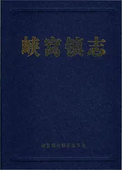 峡窝镇志（上街区）