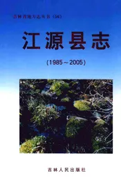 江源县志（1985-2005）