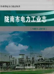 陇南市电力工业志