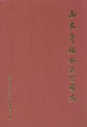 山东齐银水泥公司志