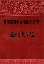 青海省五金交电化工公司企业志