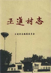 王进村志