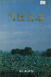 宝应县志