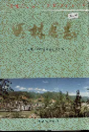 田林县志