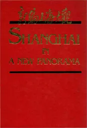 新编上海大观