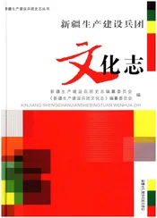 新疆生产建设兵团文化志