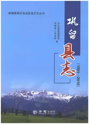 巩留县志(1991-2010）