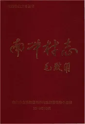 南冲村志（临湘）