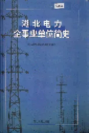 湖北电力企事业单位简史