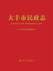 大丰市民政志