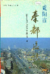咸阳市秦都区志