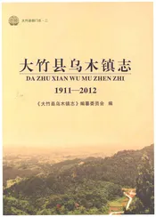 大竹县乌木镇志1911-2012