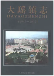 大瑶镇志1949-2002