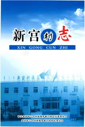 新宫村志
