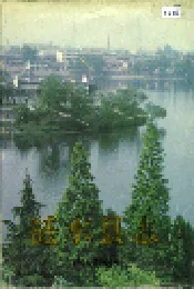 涟水县志