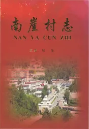 南崖村志