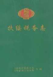 扶绥税务志