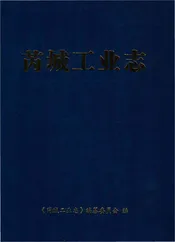 芮城工业志
