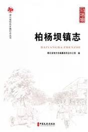 柏杨坝镇志