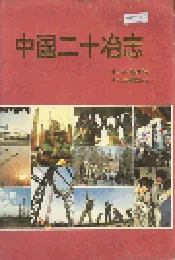 中国二十冶志