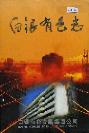 白银有色志