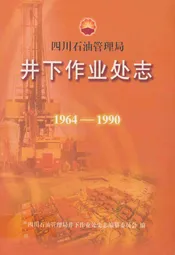 四川石油管理局井下作业处志(1964-1990)