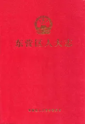 东营区人大志