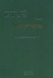 陕西省志·知识产权志·第十四卷