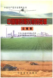中国新时期农村的农村 云南卷