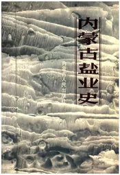 内蒙古盐业史