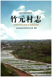 竹元村志