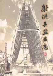 射洪县盐业志(1986-2006)