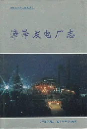 漳泽发电厂志