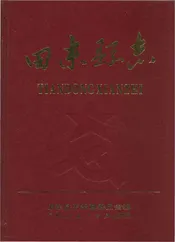 田东县志