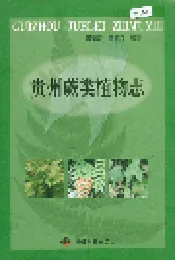 贵州蕨类植物志