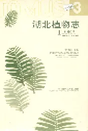 湖北植物志3